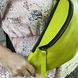 Жіноча сумка на пояс, бананка Лайм TARWA 36-305 36-305 фото 2