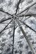 Парасолька жіноча Fulton Diamond L852 Marquise - Jacquard Floral L852-035122 фото галерея 11