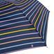 Парасолька жіноча Fulton L553-041253 Superslim-2 Rainbow Pinstripes (Різнокольорові полоси) L553-041253 фото галерея 9