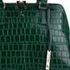 Сумка жіноча Ashwood C53 GREEN C53 GREEN фото галерея 5