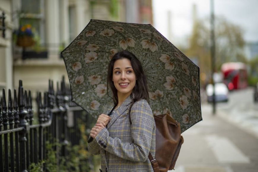 Фотографія Парасолька жіноча Fulton L856-041062 Morris & Co. Bloomsbury Pimpernel Bayleaf Manilla L856-041062 - купити 92939 за 2 200 грн