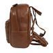 Рюкзак жіночий Ashwood T87 Honey (Медовий) T87 HONEY фото галерея 5